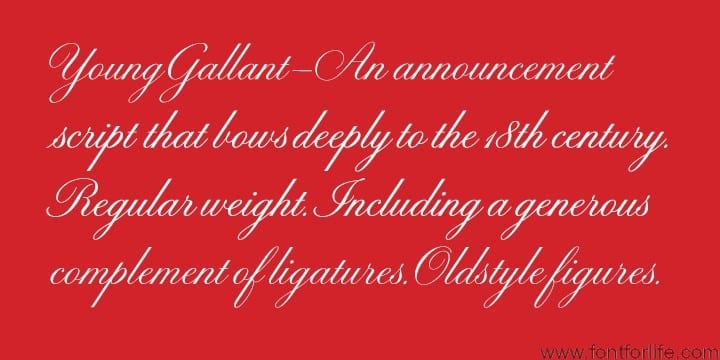 Young Gallant Font