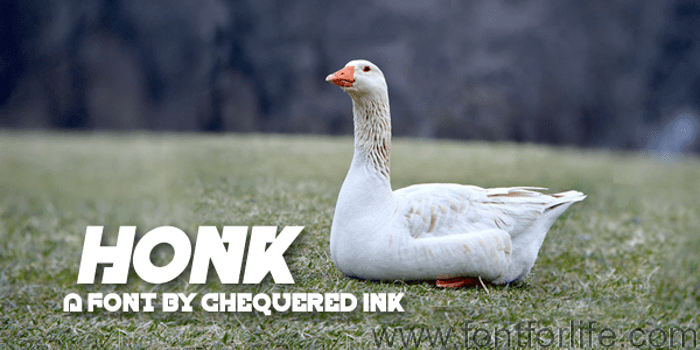 Honk Font