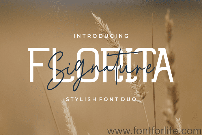Florita Signature Font