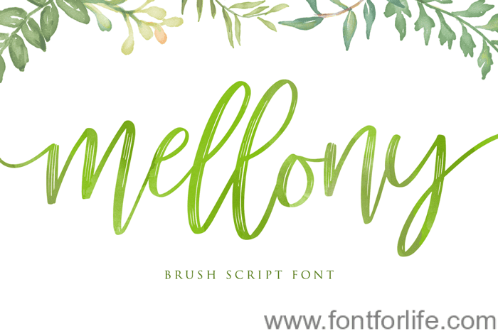 mellony dry brush Font