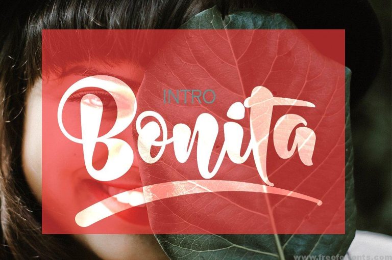 Bonita Bold Script Font Free Download