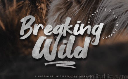 Breaking Wild Brush Font