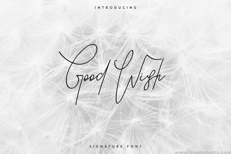 Good Wish Signature Font