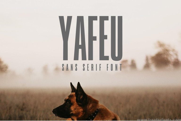 Yafeu Family
