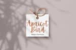 Apricot Font