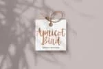 Apricot Font