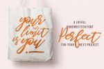 Be Perky! Handwritten Font