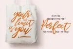 Be Perky! Handwritten Font