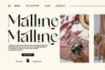 Belgan Aesthetic Serif Font