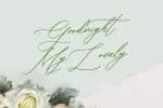 Bellychestor Font
