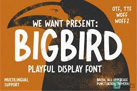 bigbird playful display Font
