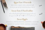 Bistro Sans & Serif Font