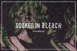 Bleach Sans Serif Font
