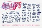 Amelian Script Typeface Font