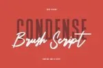 Bortons Font Duo Swash Typeface