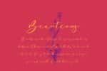 Bottomvega Beauty Script Font
