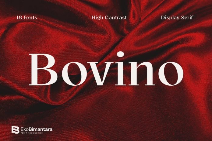 Bovino Font Family