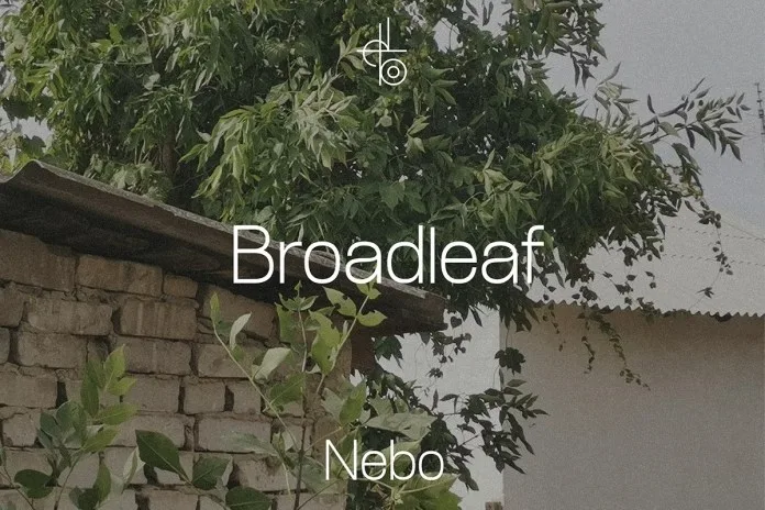 Broadleaf Font