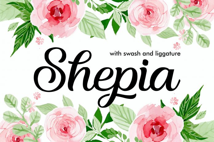 Shepia Beauty Script Font