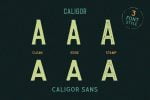 CALIGOR - Display Typeface Font