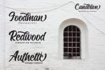 Candelion Script Font