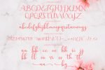 Charlotte Font