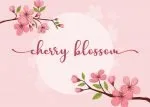 Charlotte Font