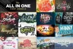 The All In One Font Bundle