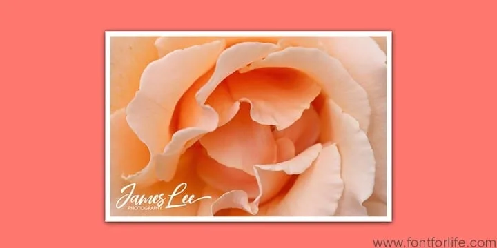 Coral Pen Font