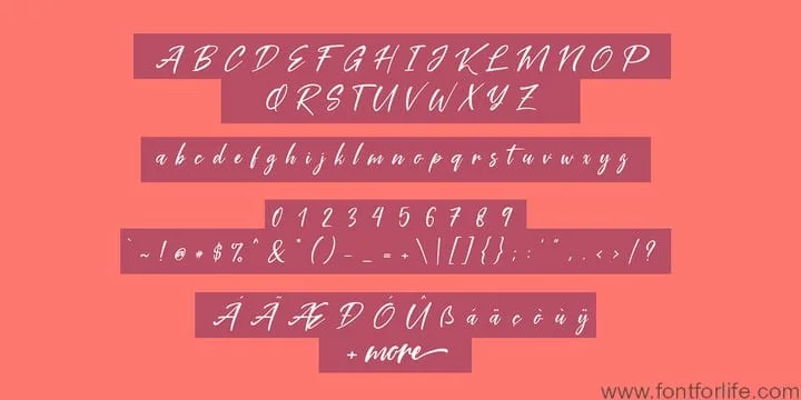 Coral Pen Font