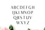 Cordaro Serif Font