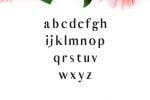 Cordaro Serif Font