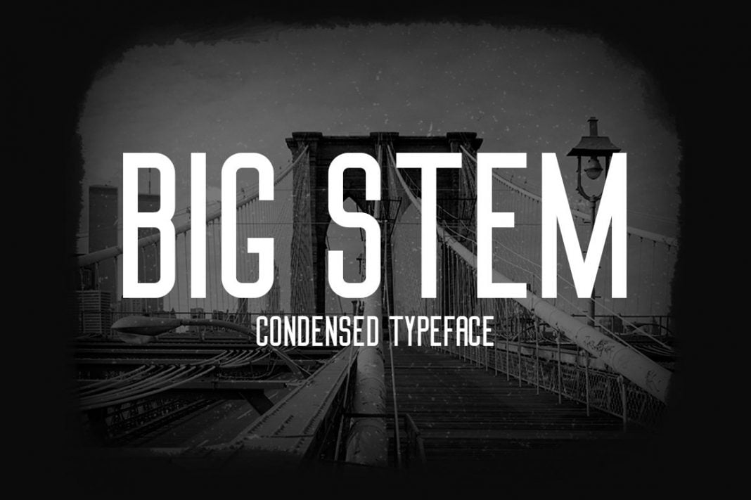 Big Stem Type Family Font