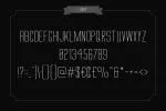 Big Stem Type Family Font
