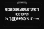 Big Stem Type Family Font