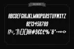 Big Stem Type Family Font