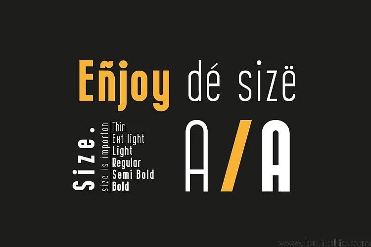 CURVE Calibration Font Family