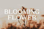 Jacqualine Font