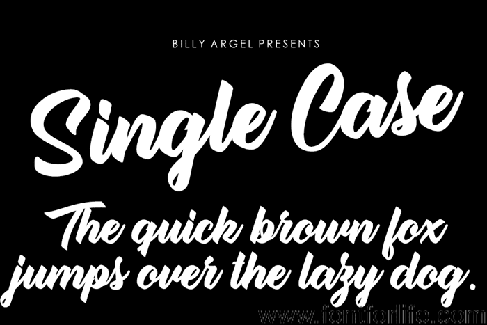 Single Case Font