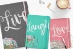 The Lolly Script Font