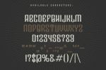 Droptune Typeface