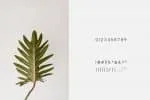 Espresso – Minimal Display Font