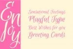 Euphoria Script Font