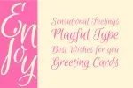 Euphoria Script Font