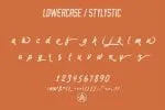 Riogrande script Font