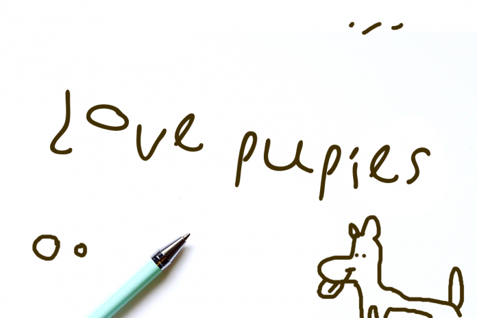 First grade doodle Font