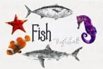 Fisherman (font duo)