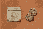 Happy Cookies Font