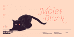 Gabriela Font Family