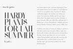 Fragile Collection 3 Fonts